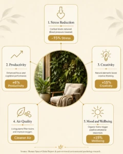The Science-Backed Wellness Benefits of Biophilic Design