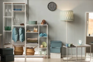 Storage and Clutter: Keeping Spaces Organized
